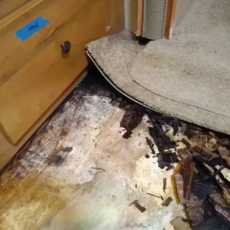 Wood Floor Water Damage in Hamilton, NY